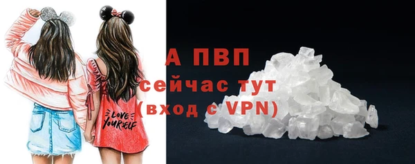 стафф Арсеньев