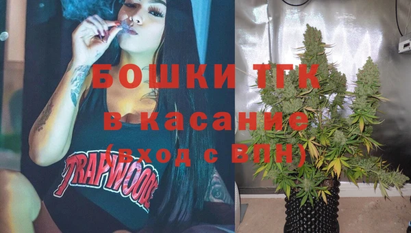 стафф Арсеньев