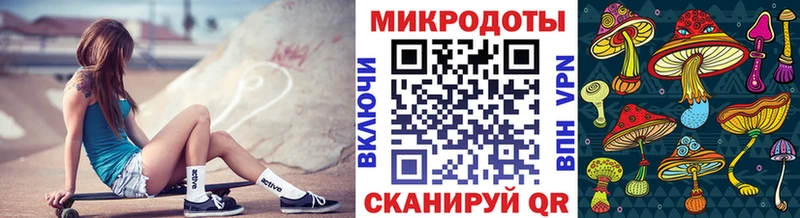 Псилоцибиновые грибы Cubensis  Купить закладки  Семёнов 